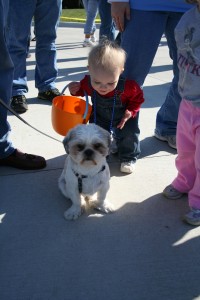 Maddox